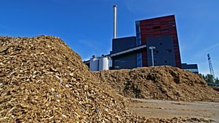 Scientists are asking governments around the world to stop using wood as a "renewable" source of fuel. 
