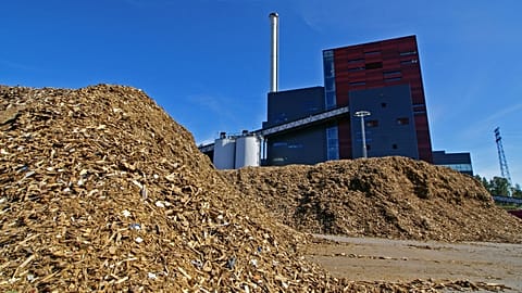 Scientists are asking governments around the world to stop using wood as a "renewable" source of fuel. 