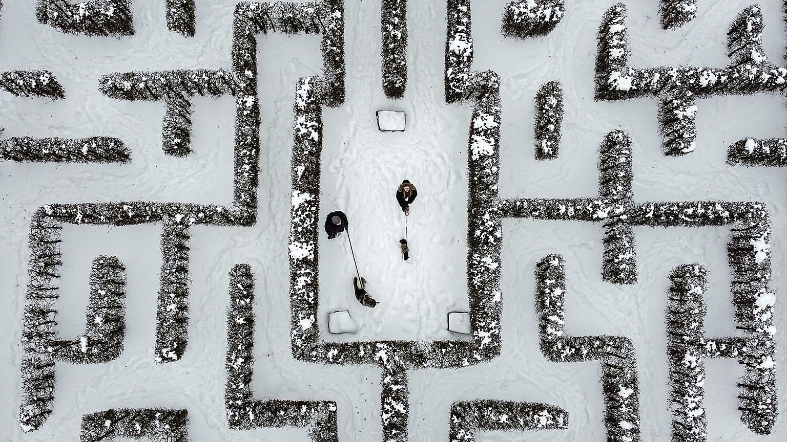 People walk with their dogs in a snow-covered garden maze in Gelsenkirchen, Germany. Extreme winter weather hit the north and west of the country. February 10, 2021