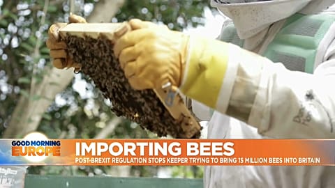 Bee keeer inspecting his hive in Kent, UK