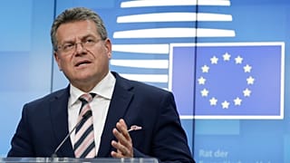 Vice-President Šefčovič is co-chair of the EU-UK Joint Committee on the Withdrawal Agreement.