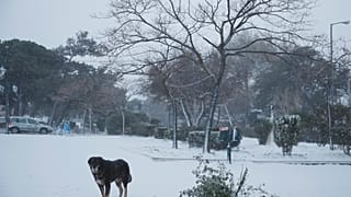 Greece Weather