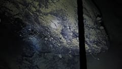 The team drilled through hundreds of metres of Antarctic ice to find creatures living in complete darkness.