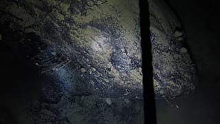 The team drilled through hundreds of metres of Antarctic ice to find creatures living in complete darkness.