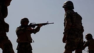 عکس تزئینی است