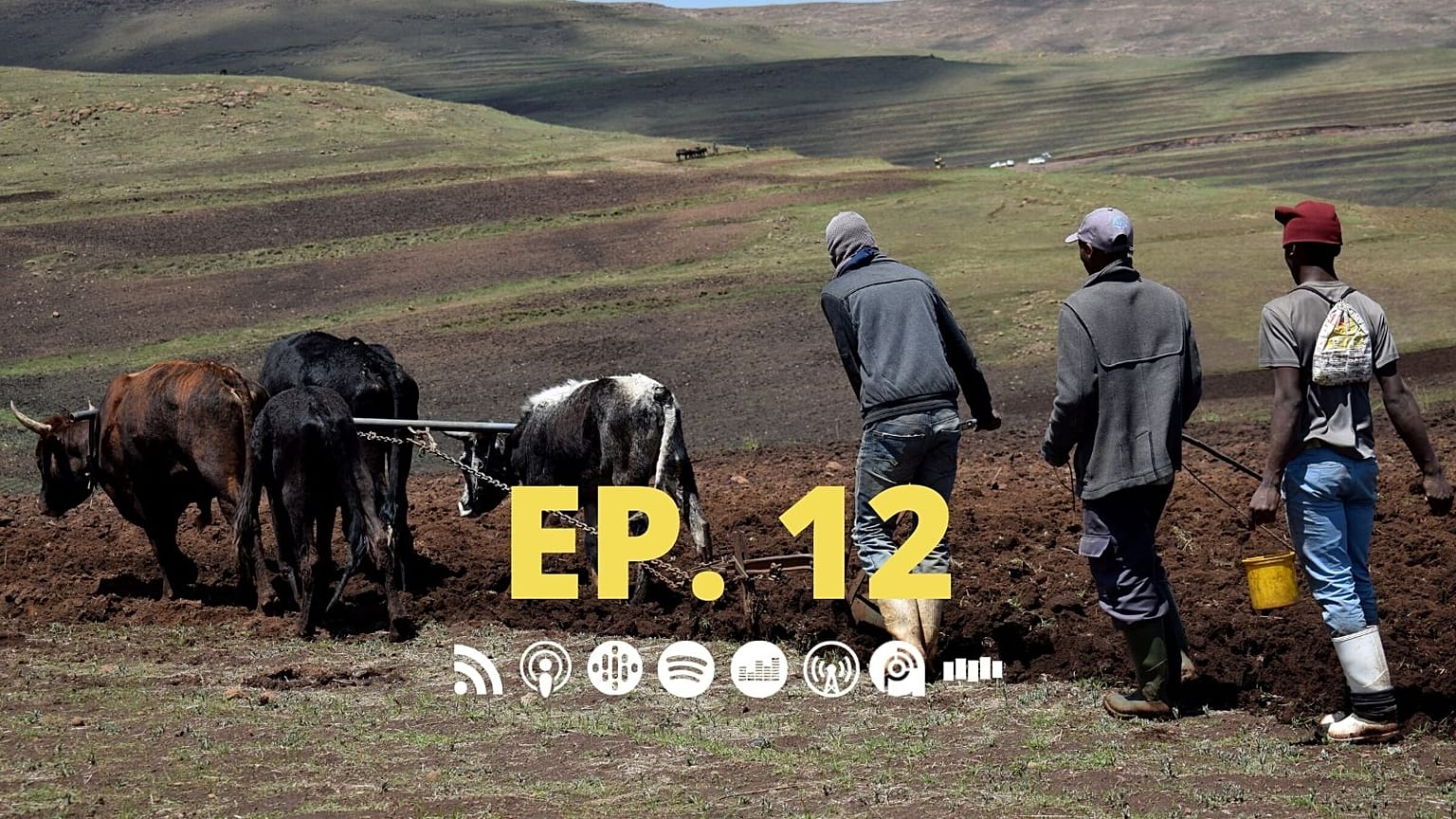 Épisode 12 de "Dans la tête des hommes"  