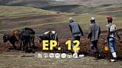 Épisode 12 de "Dans la tête des hommes"  