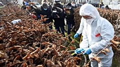 Des marins-pompiers de Marseille font des prélèvements dans les eaux usées d'une maison de retraite de Moselle pour détecter la Covid-19 et ses variants, Metz le 15/02/2021