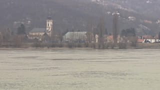 Дунай заставят работать на полную