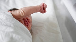 عکس تزئینی است