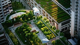 Are our suburbs about to get a whole lot greener?
