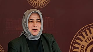 Ak Parti Grup Başkan Vekili Özlem Zengin
