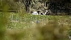 Accidente de avión militar en México