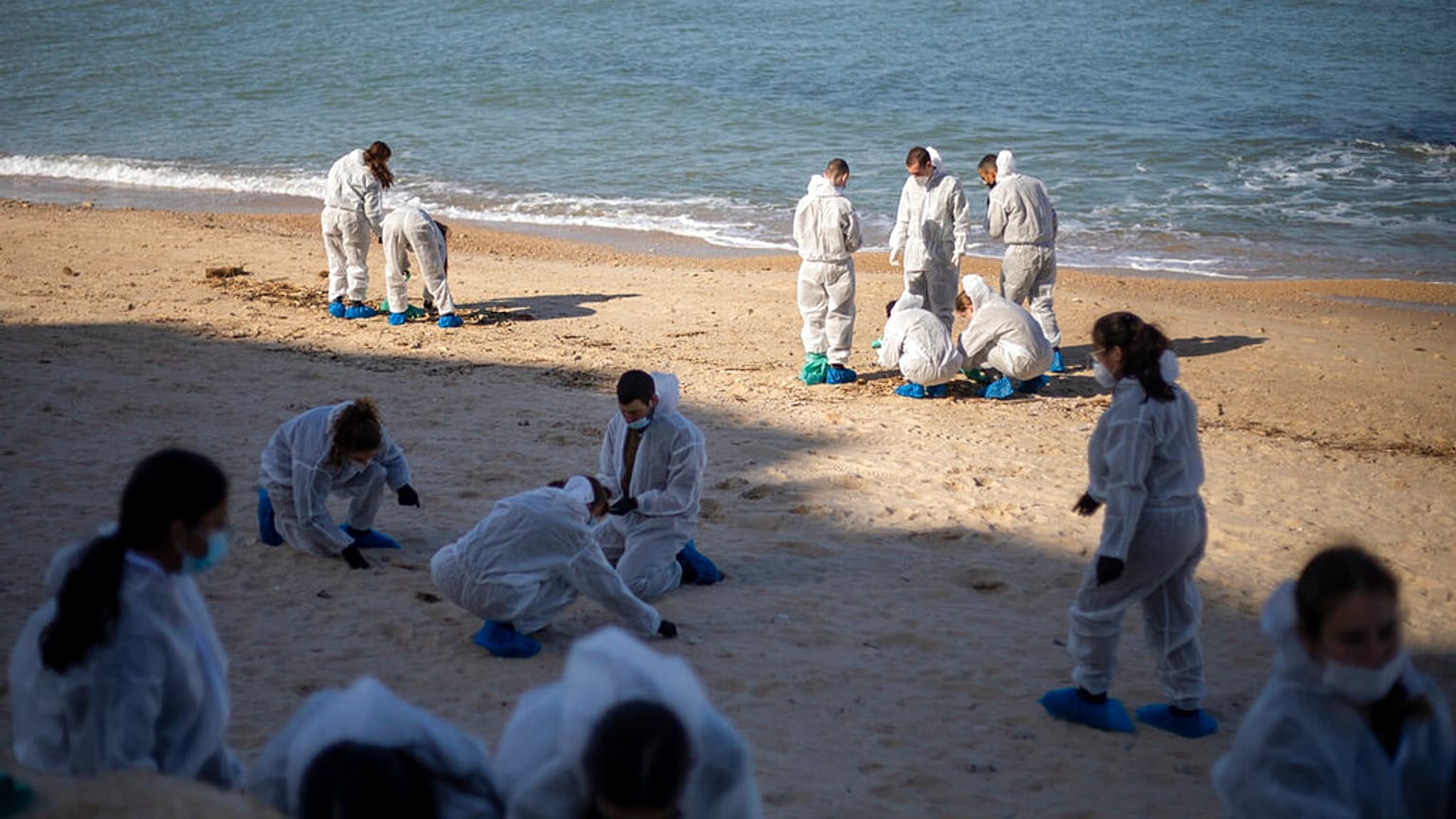 Équipe de nettoyage sur une plage israélienne, 22 février 2021