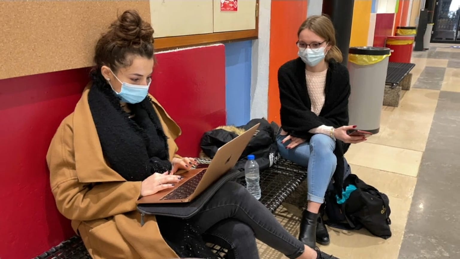 students covid survey
