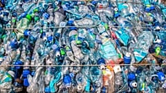 plastik şişeler