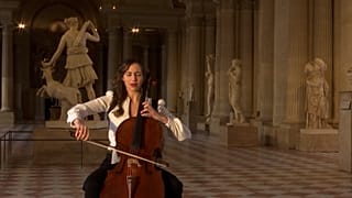Cello-Konzert im leeren Louvre - für ein YouTube-Video