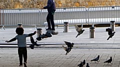 CYPRUS VIRUS