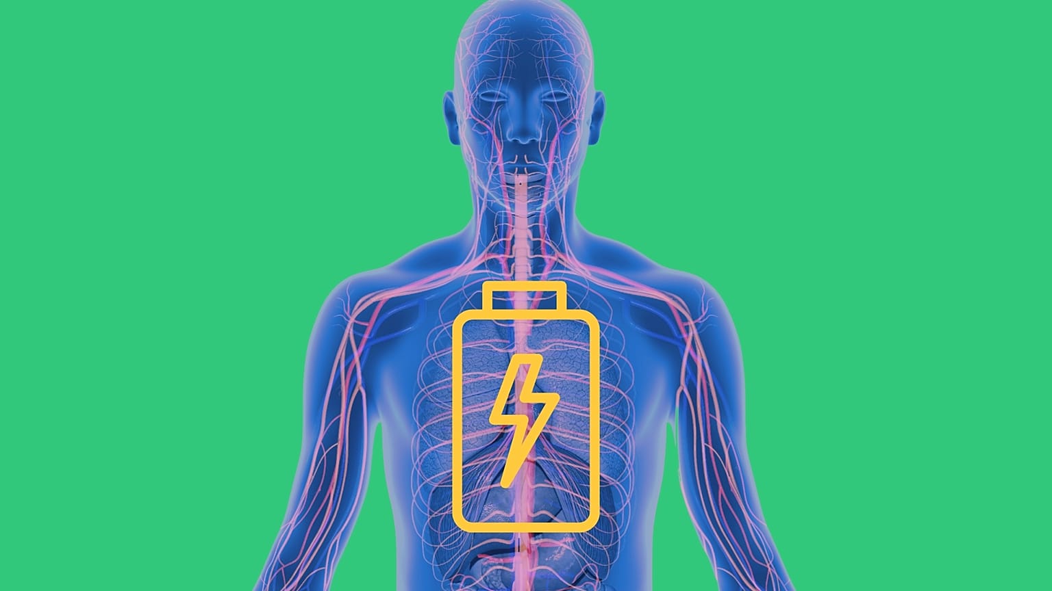 This new technology turns the body into a battery by harnessing body heat that is lost through the skin.