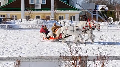Des courses de troïkas dans la neige en Russie