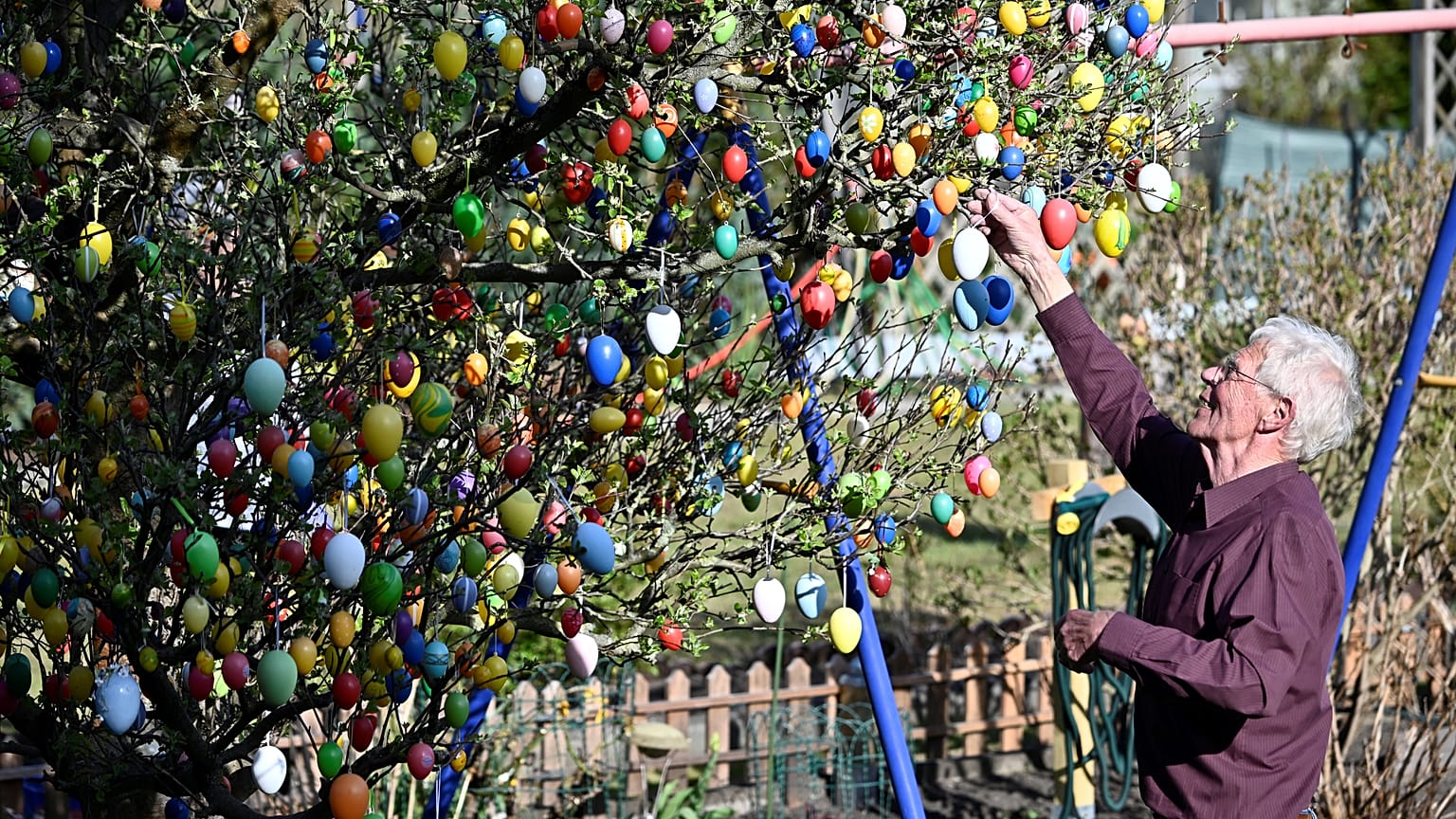 Reichlich geschmückter Osterbaum (Aufnahme aus dem Jahr 2020)
