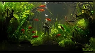 Aquarium Genoa reopens