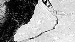 El colosal iceberg se ha desprendido la semana pasada. El radar del satélite Sentinel 1 lo captaron así el 28 de febrero