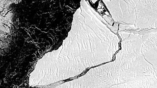 El colosal iceberg se ha desprendido la semana pasada. El radar del satélite Sentinel 1 lo captaron así el 28 de febrero