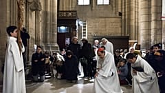 كاردينال الكنيسة الكاثوليكية الرومانية ورئيس أساقفة ليون فيليب باربارين- أرشيف