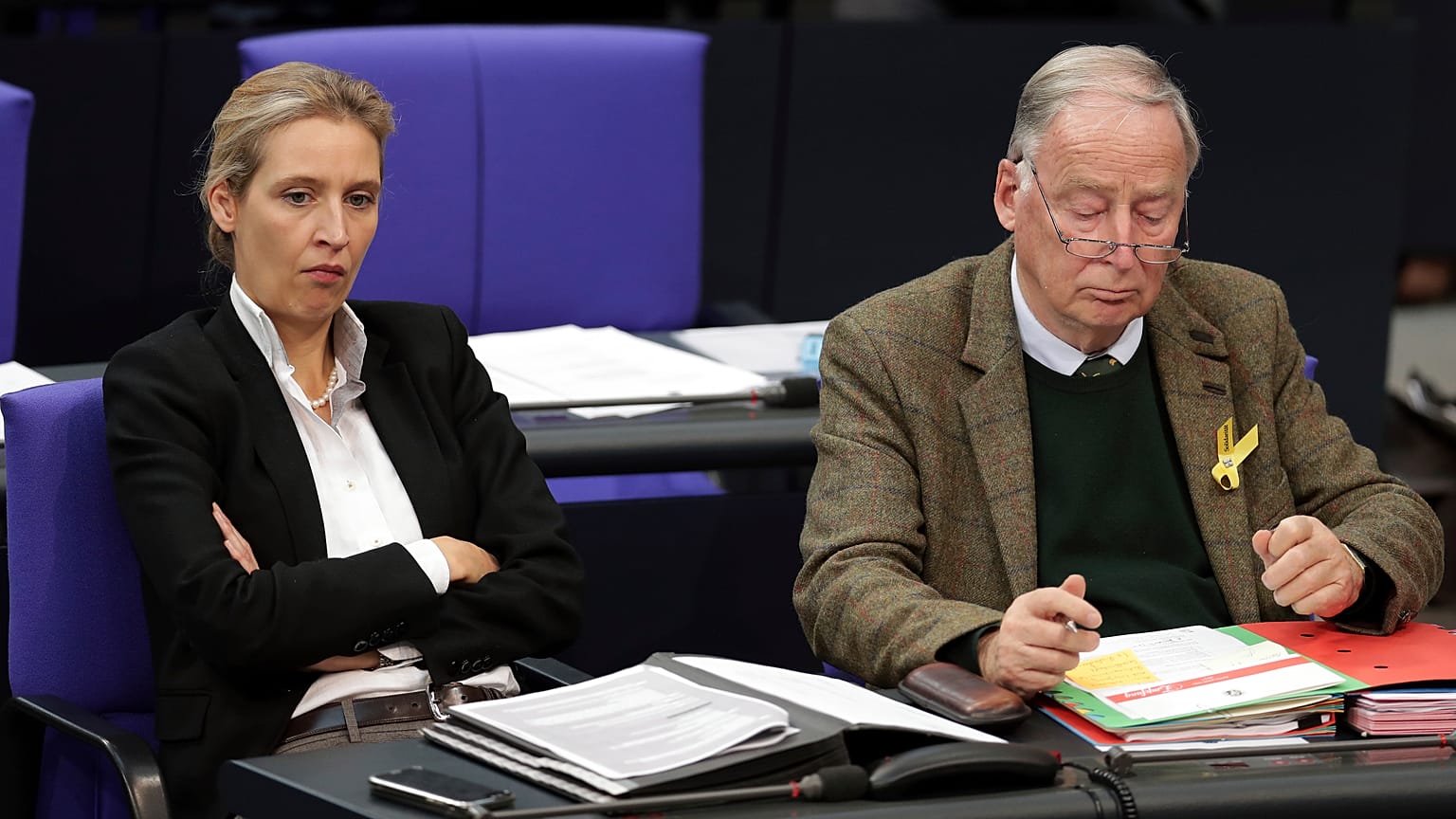 Alternativa para Alemanha (AFD) na mira dos serviços secretos internos