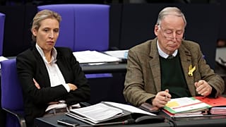Γερμανία: Υπό παρακολούθηση το AfD, σύμφωνα με γερμανικά ΜΜΕ