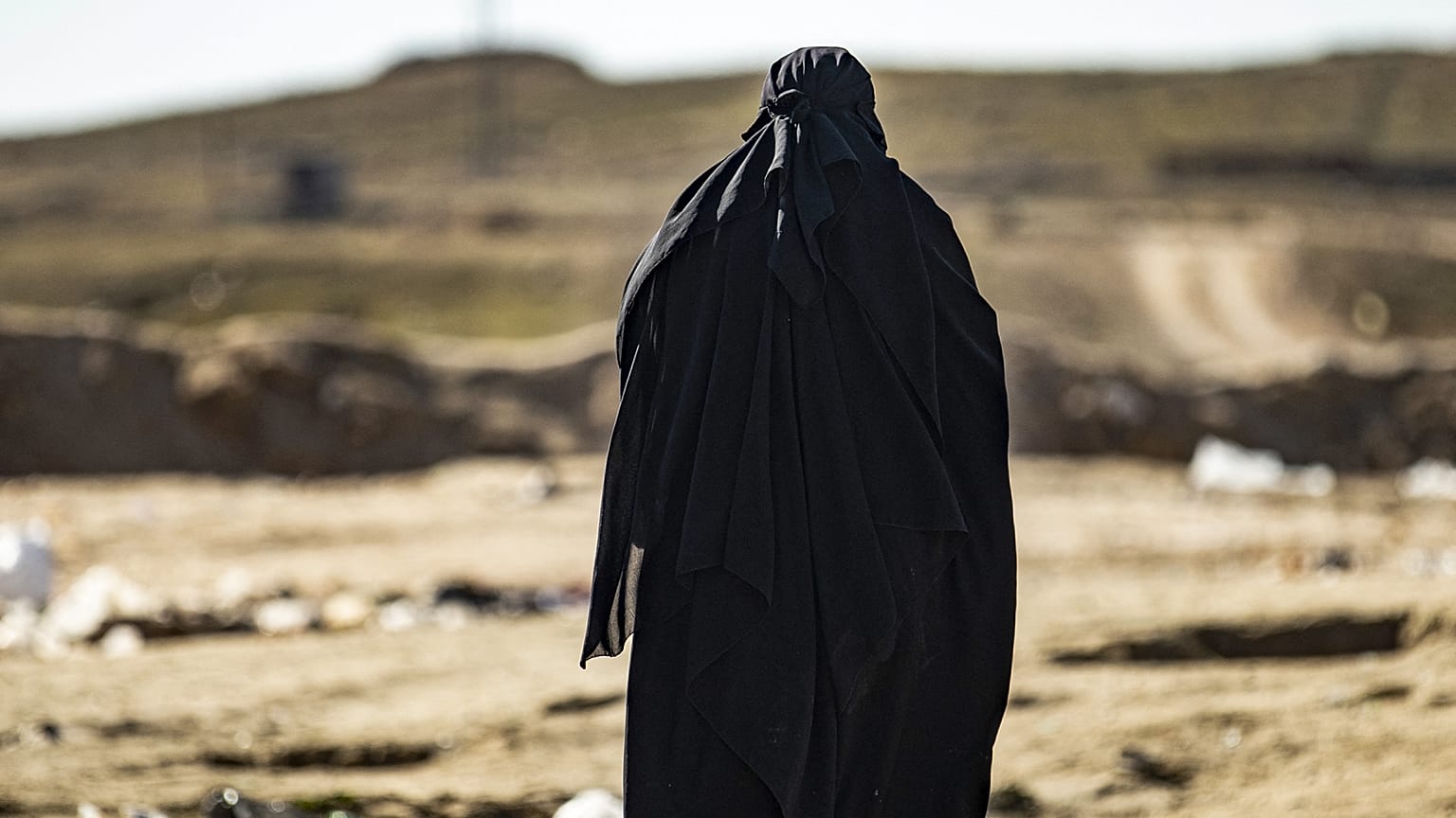 صورة من الارشيف