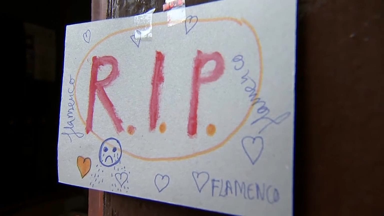 Protesta por la crisis del sector del flamenco