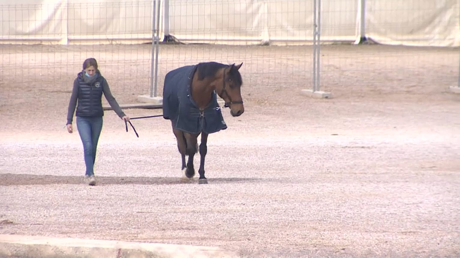 Una mujer pasea su caballo en el CES Valencia Tour