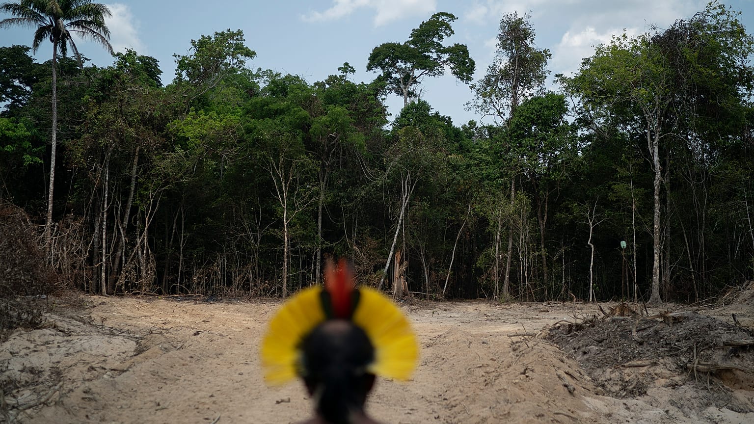 Image datant du 31 août 2019. Le chef indigène Kadjyre Kayapo regarde un chemin créé par des bûcherons dans l'État de Para, au Brésil.