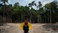 Image datant du 31 août 2019. Le chef indigène Kadjyre Kayapo regarde un chemin créé par des bûcherons dans l'État de Para, au Brésil.