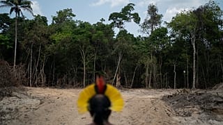 Image datant du 31 août 2019. Le chef indigène Kadjyre Kayapo regarde un chemin créé par des bûcherons dans l'État de Para, au Brésil.