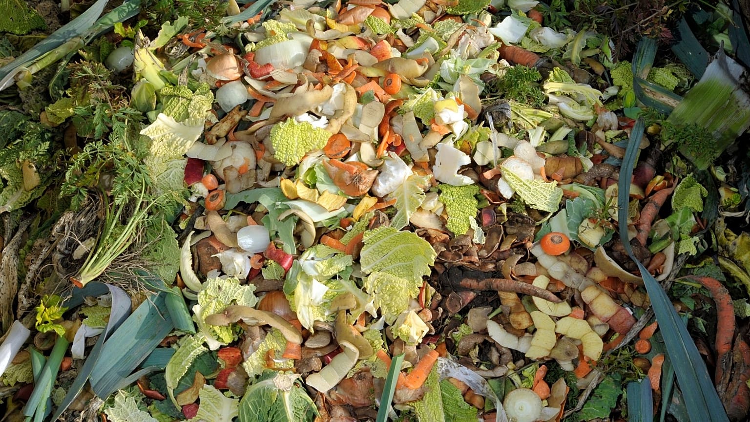 The measurements included edible items and inedible items like shells, bones and fruit pits. 