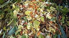 The measurements included edible items and inedible items like shells, bones and fruit pits. 