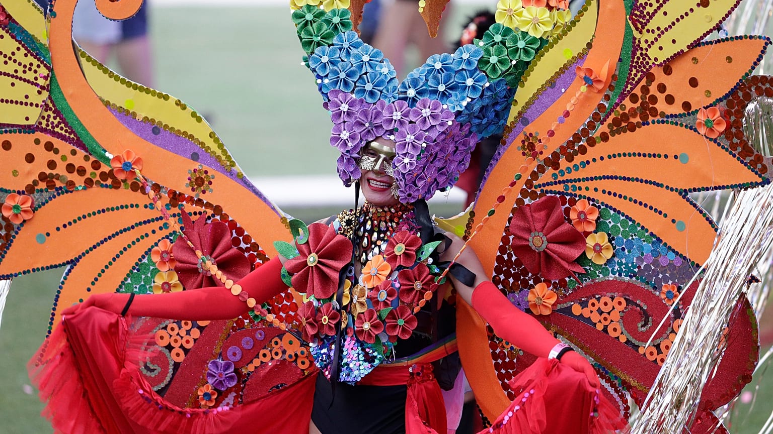 Bunter Paradiesvogel der Sydney Mardi Gras Parade 