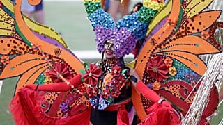 Bunter Paradiesvogel der Sydney Mardi Gras Parade 