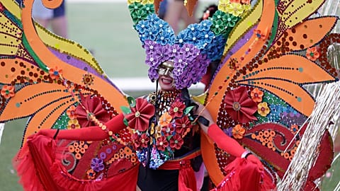 Bunter Paradiesvogel der Sydney Mardi Gras Parade 