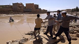 صورة من الارشيف