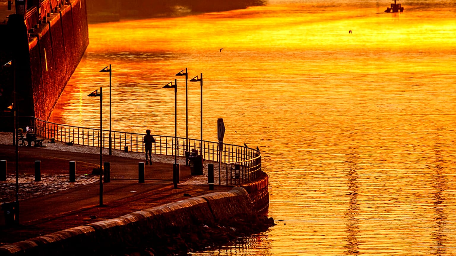 Mainufer in Frankfurt