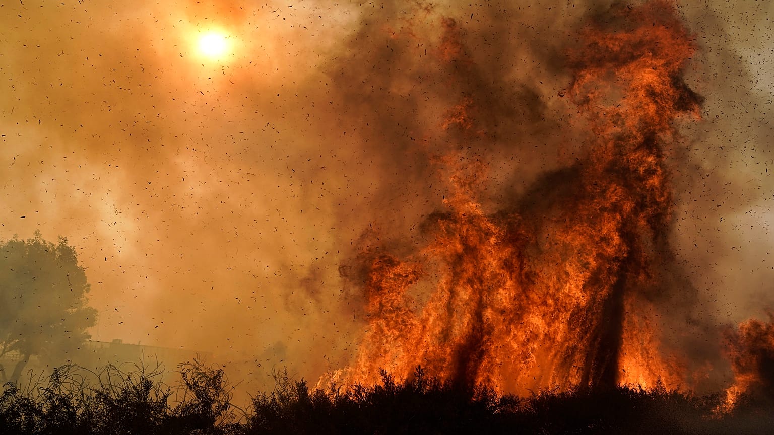 Irvine, CALIFORNIA, UNITED STATES / 2020. október 26.