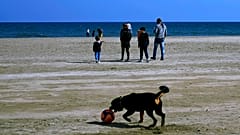 Σε σταδιακή άρση των περιοριστικών μέτρων έχει προχωρήσει η κυβέρνηση της Κύπρου