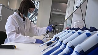 Weltweites Rennen um einen Universalimpfstoff  