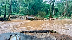 Elöntött híd Maui szigetén