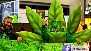 Örül, hogy legalizálták