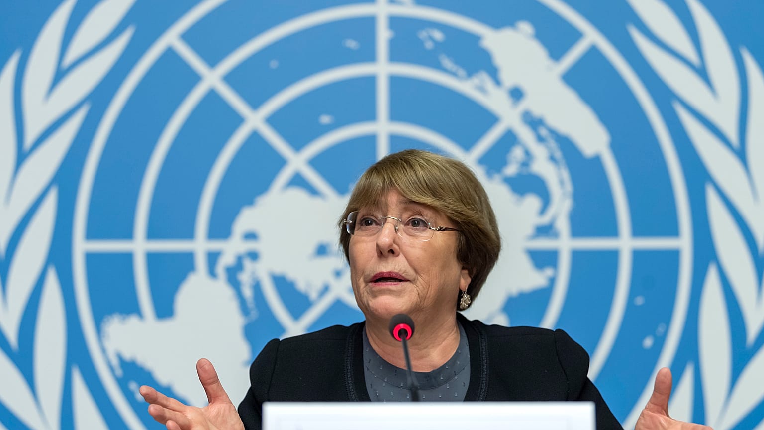 BM İnsan Hakları Yüksek Komiseri Michelle Bachelet